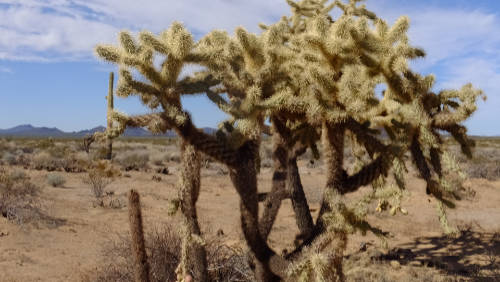 Proalliance Building